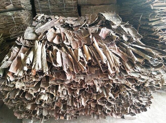 杜仲價格行情，變化中的機遇與挑戰的自我超越之路