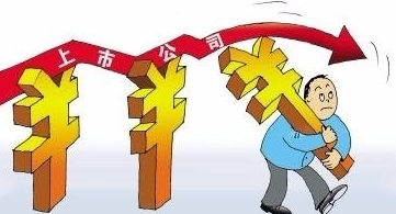 深度解析,上市公司所面臨的缺陷與挑戰(zhàn)