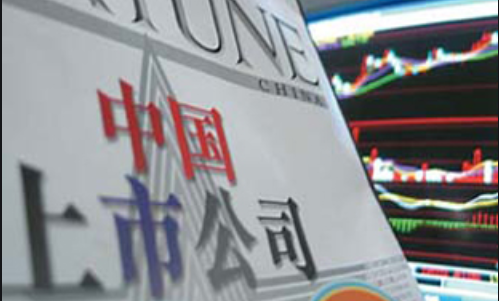 深度解析,上市公司所面臨的缺陷與挑戰(zhàn)