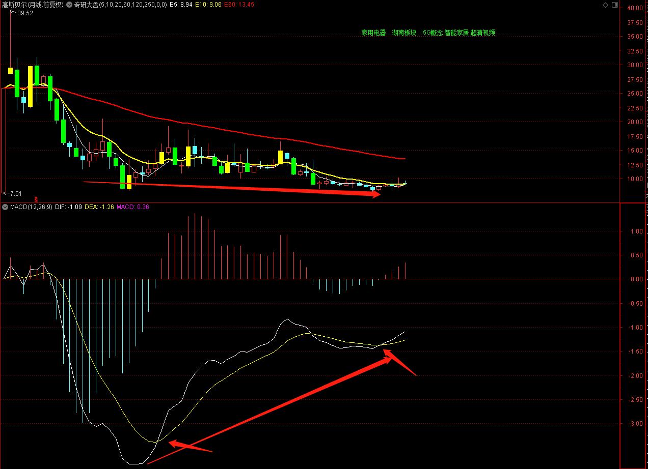 股票研究,心靈與自然的探索之旅