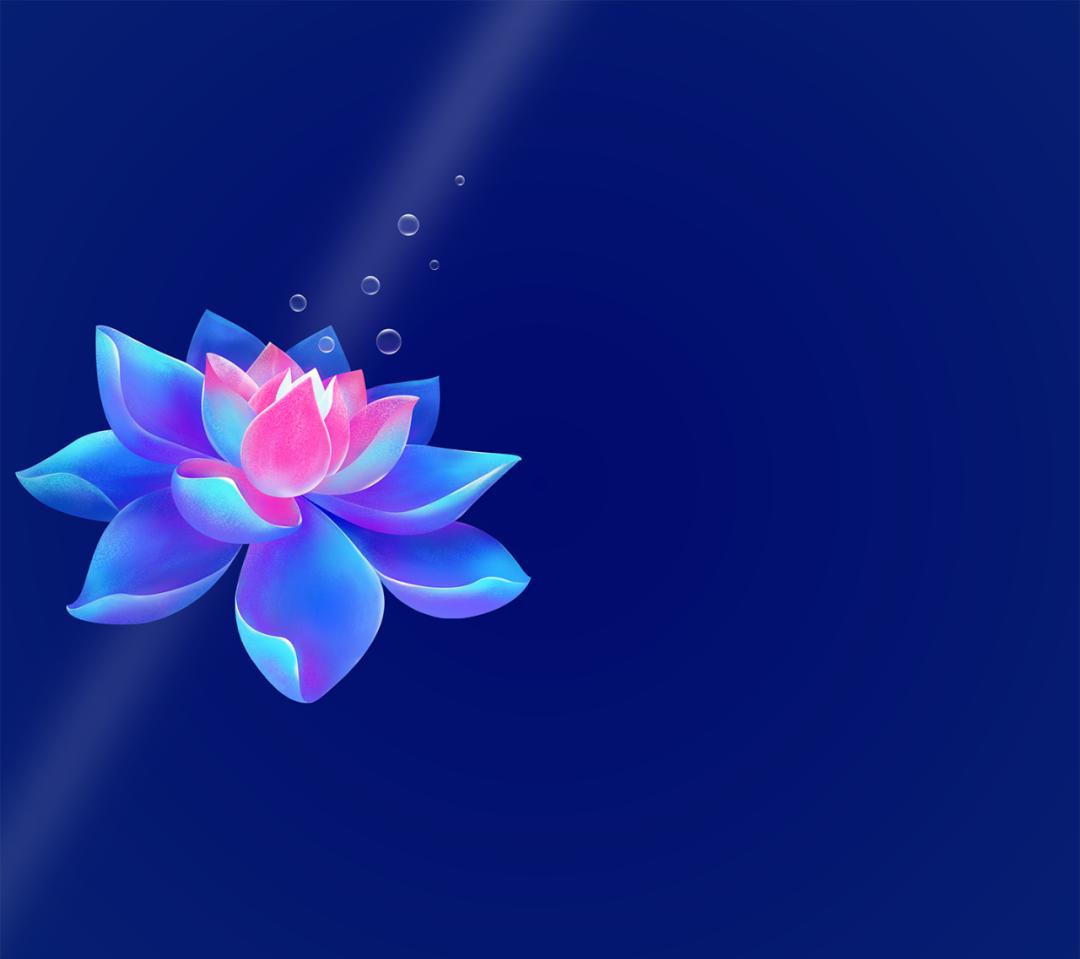 手機品牌最新排行榜與巷弄深處的神秘小店探秘