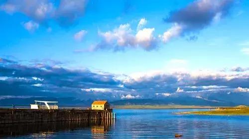 重溫最新內容,深入探索某某觀點