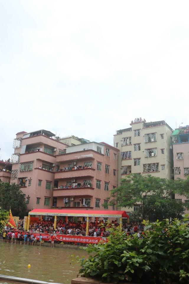 天臺租房信息一覽,最新房源概覽與動態