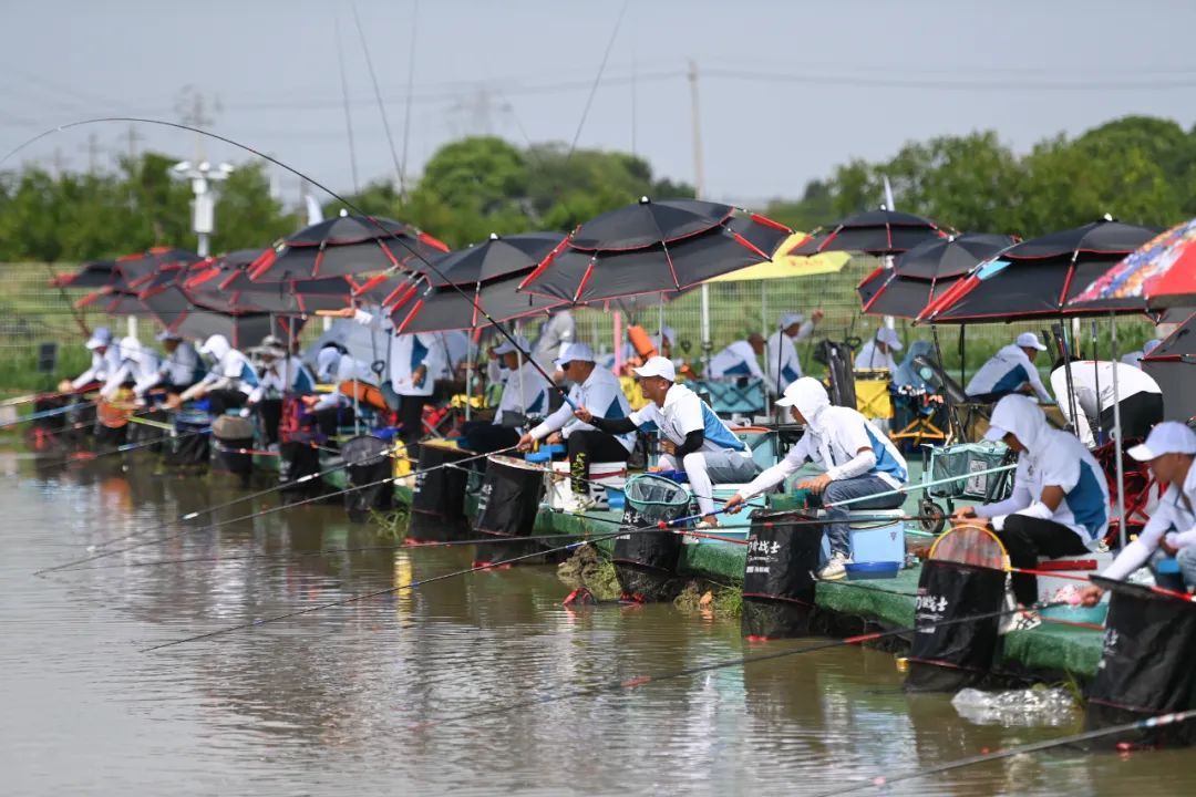 垂釣比賽,自然美景探索之旅的激情盛宴