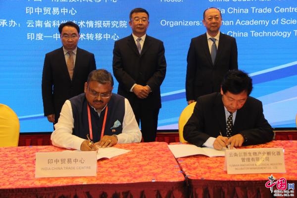 印中兩國關系最新動態，演變與影響分析