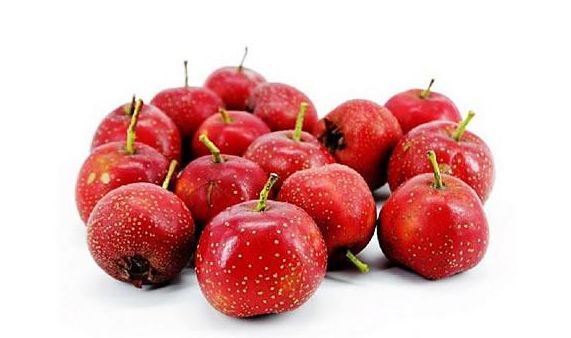 山楂上市季節，品味與市場交織的盛宴