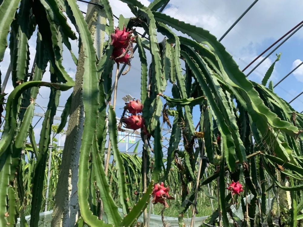 南昌新鮮資訊，自然之旅探尋內心寧靜與平和