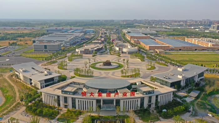 揭秘未來活驢價格行情與小巷深處的特色小店