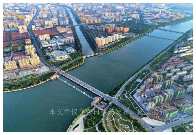 得利斯成功上市，背后的故事與未來展望