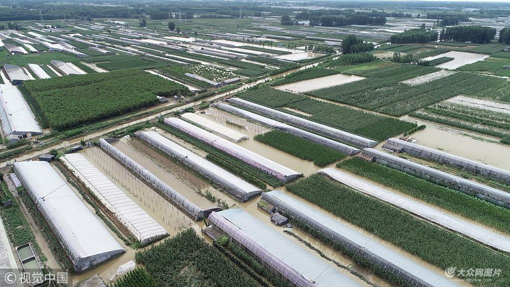 臨沂臺風最新更新，實時動態報告