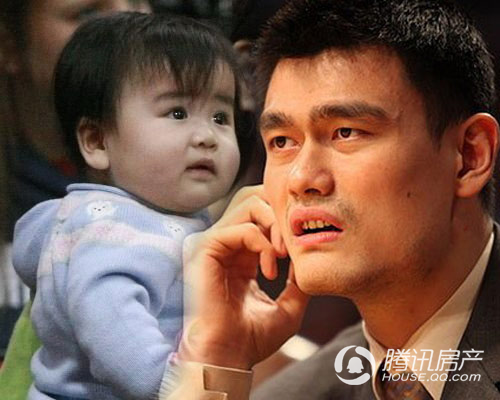 姚明最新動態,小巷深處的籃球傳奇與特色小店的奇遇