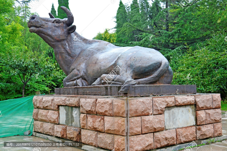 鐵牛視頻更新揭秘日常趣事與友情紐帶！