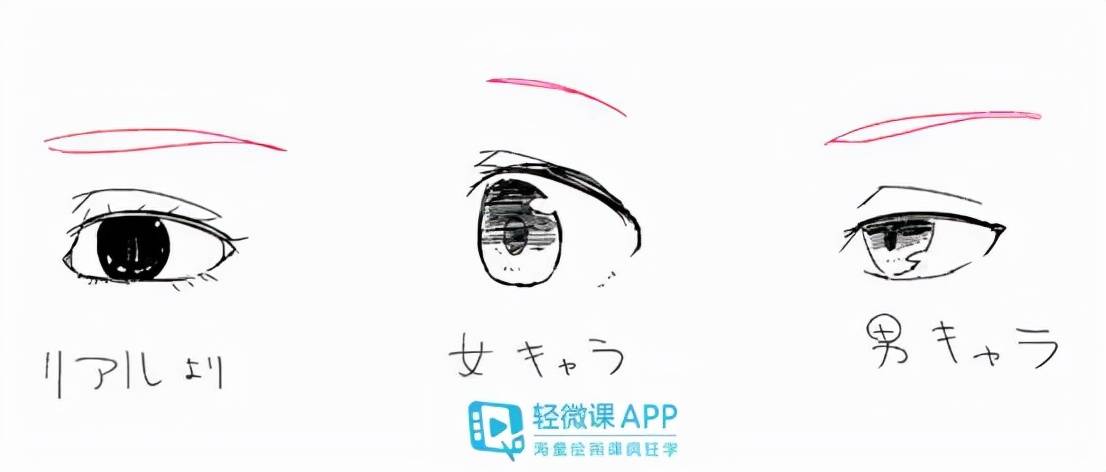 零基礎也能學會動漫眼睛畫法教程,小紅書教你如何繪制動漫眼睛??!