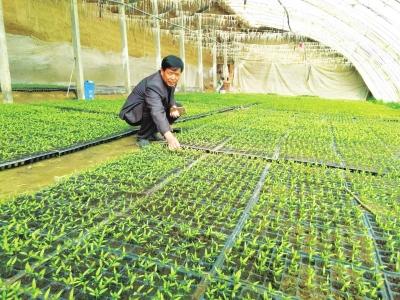 蘭州永登最新資訊快報