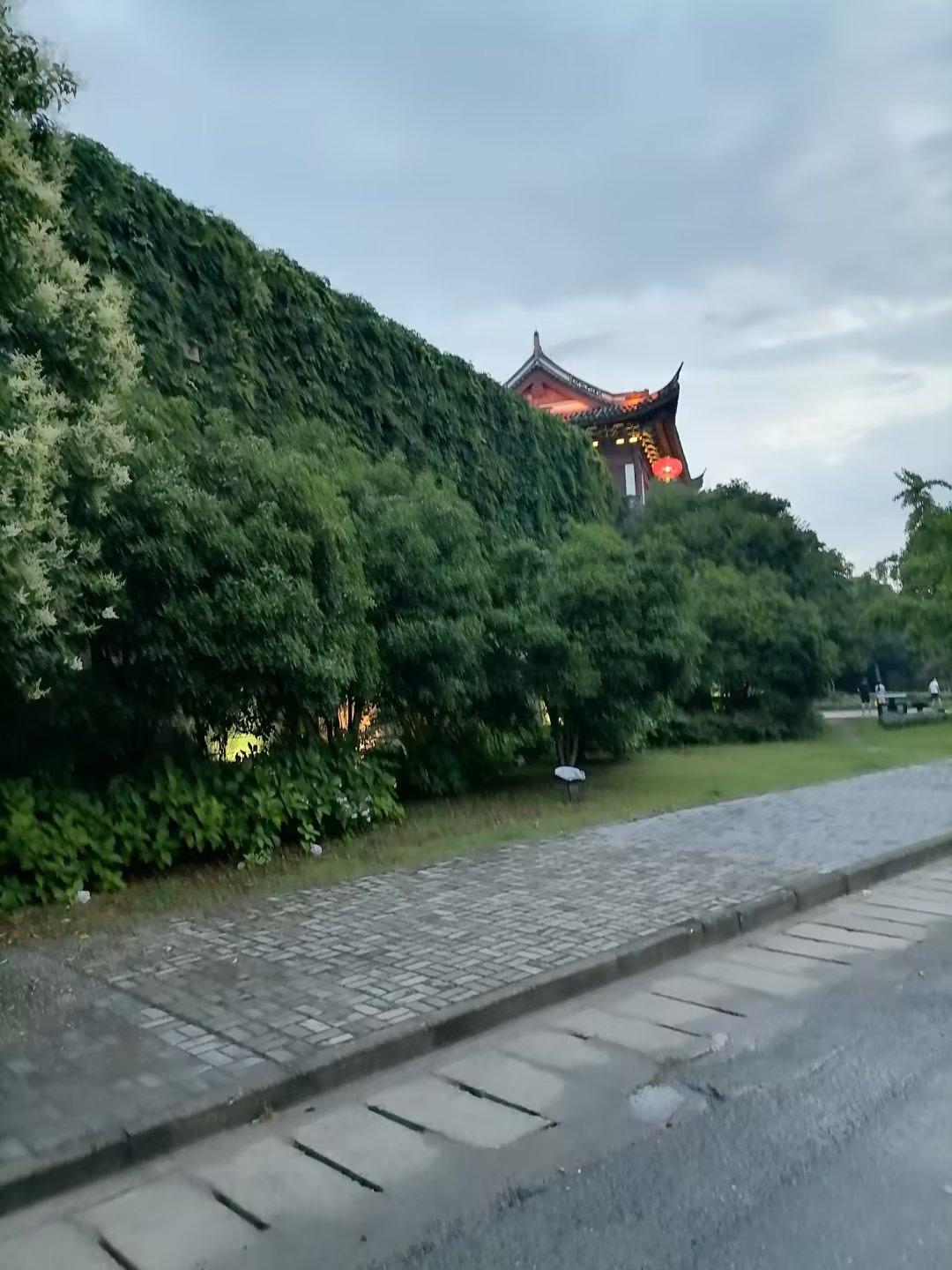 錦衣春秋最新章節(jié),自然美景之旅,探尋內(nèi)心平和之地