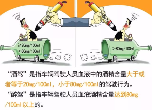 醉駕最新量刑標準與小巷獨特風味探秘