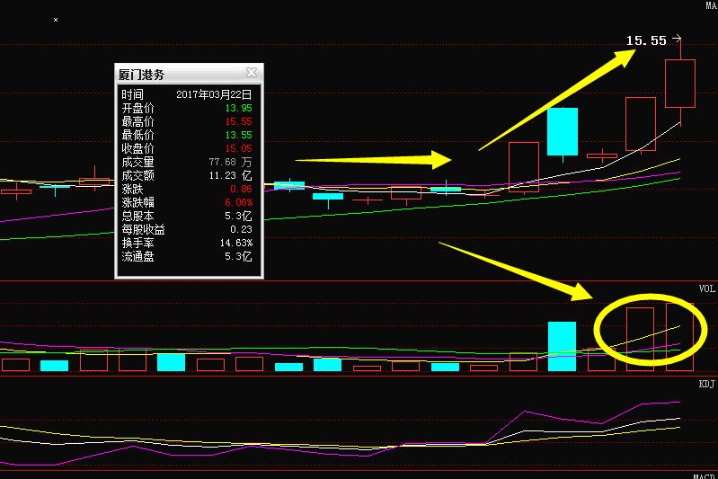 廈門港務的最新動態(tài)，港口繁榮的時代展望與未來發(fā)展