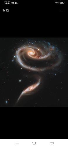 銀河生物最新動態(tài)，尋找內心平靜的奇妙探索之旅