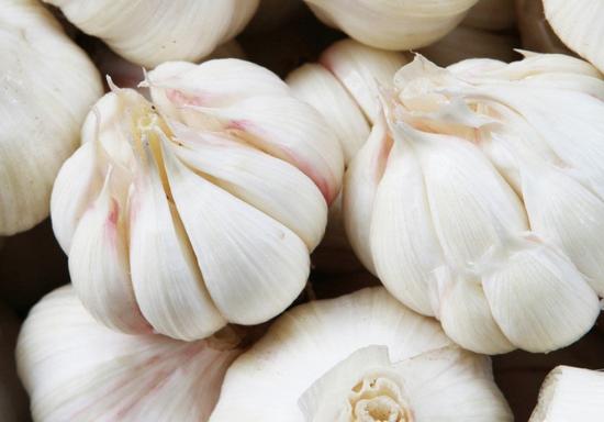 全國大蒜價格最新動態(tài)更新