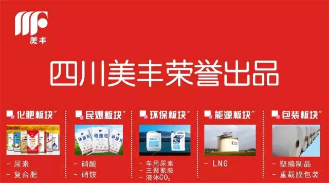 四川美豐最新動態更新