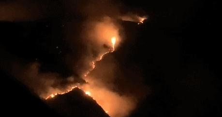 四川火災最新消息更新,最新四川火災新聞報道速遞