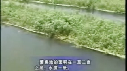 萌寵樂園最新養殖視頻,溫馨日常的精彩呈現