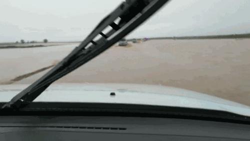 最新洪水消息，守護溫馨家園的感人故事