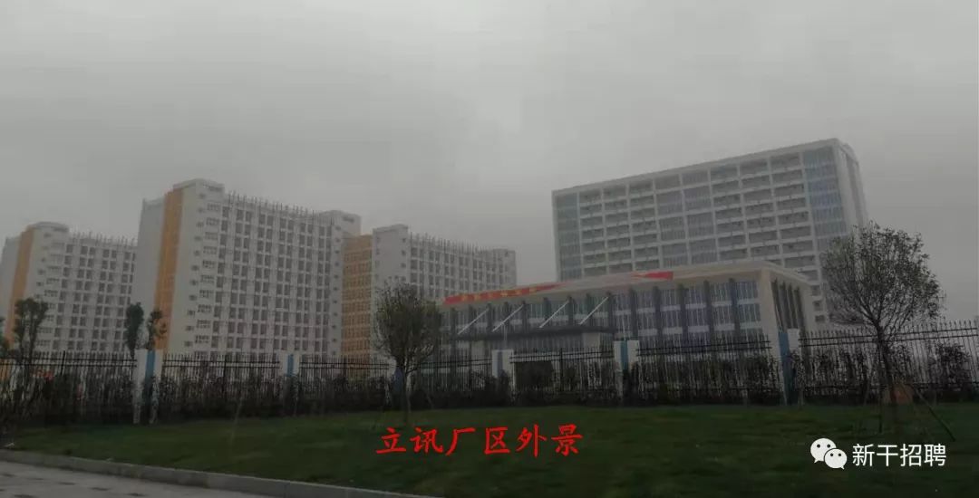 吉安立訊最新招聘，小巷中的隱藏寶藏，探索無限機遇！