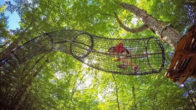 什邡吧最新消息速遞，溫馨日常的更新與分享