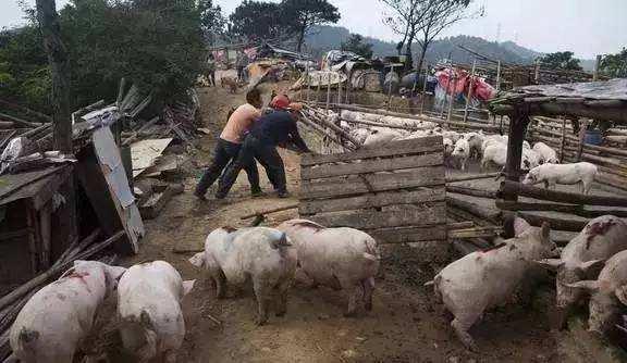 農村征地最新政策解讀與觀點論述