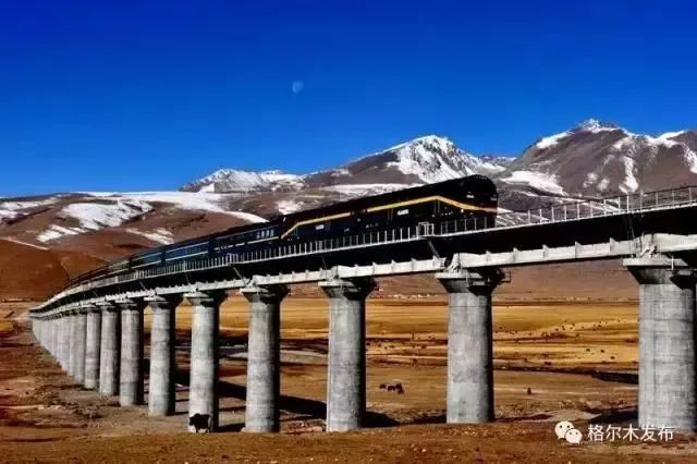 甘藏鐵路最新動態與小巷獨特風味探尋