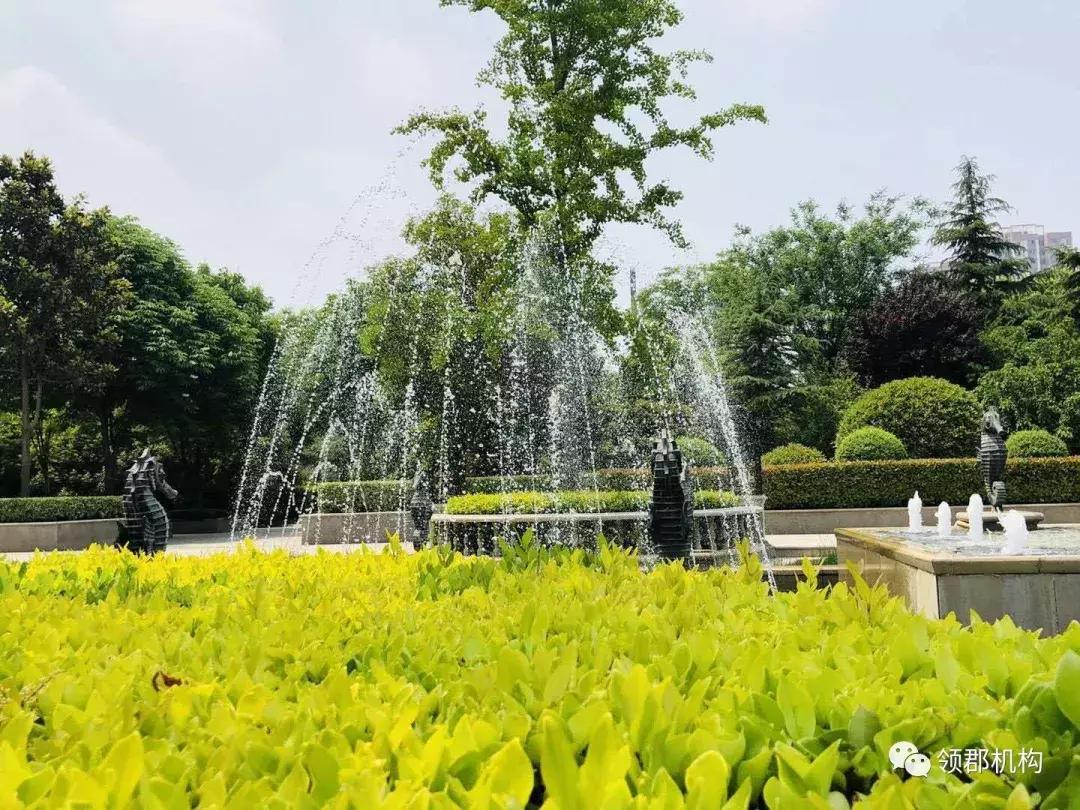 五A添盛坊青稞原漿 第224頁