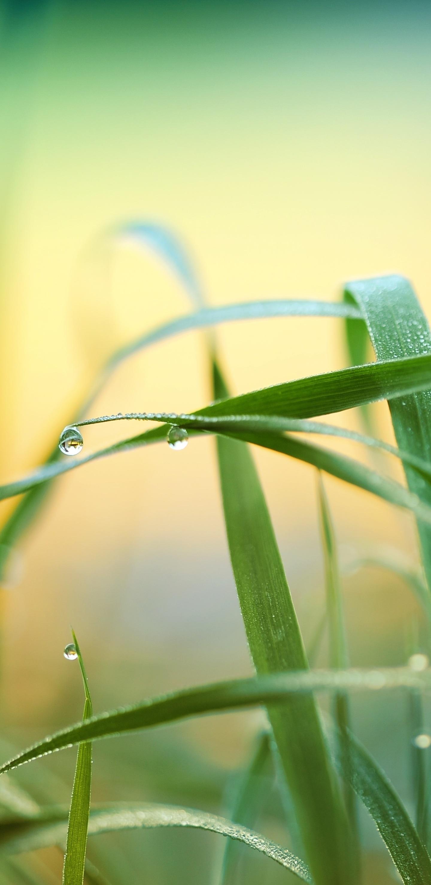 三星最新款手機概覽,科技之巔引領生活變革
