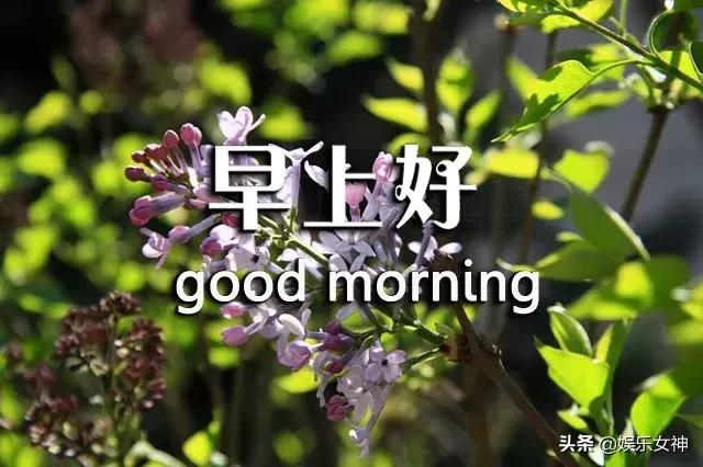 最新幽默短信,笑對人生,學習成長的力量之源