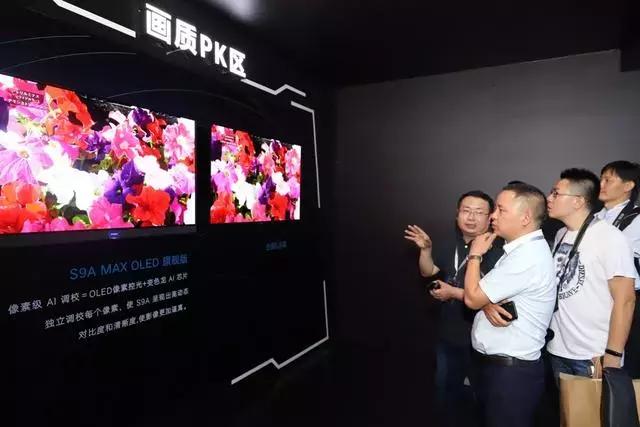 變色龍最新探索之旅,自然美景的迷人之旅