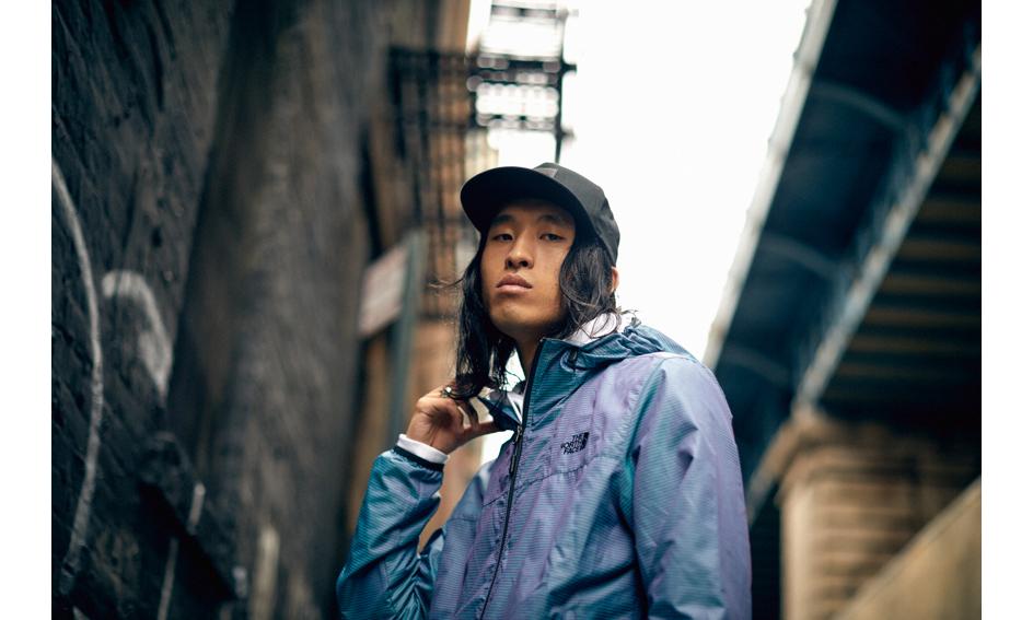 變色龍最新探索之旅,自然美景的迷人之旅