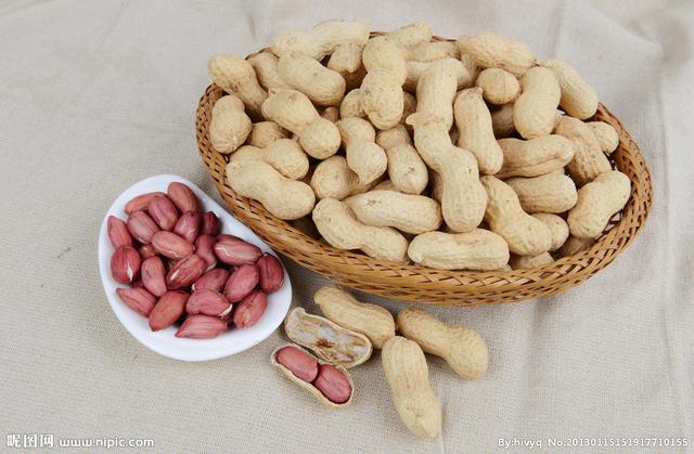 河南花生果最新價格行情報告