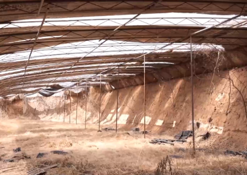 邯鄲殺人案最新進展，變化中前行，自信與成就并存，勵志前行之路