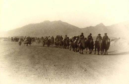 固原地震最新消息,自然美景之旅尋求內心平靜的時刻