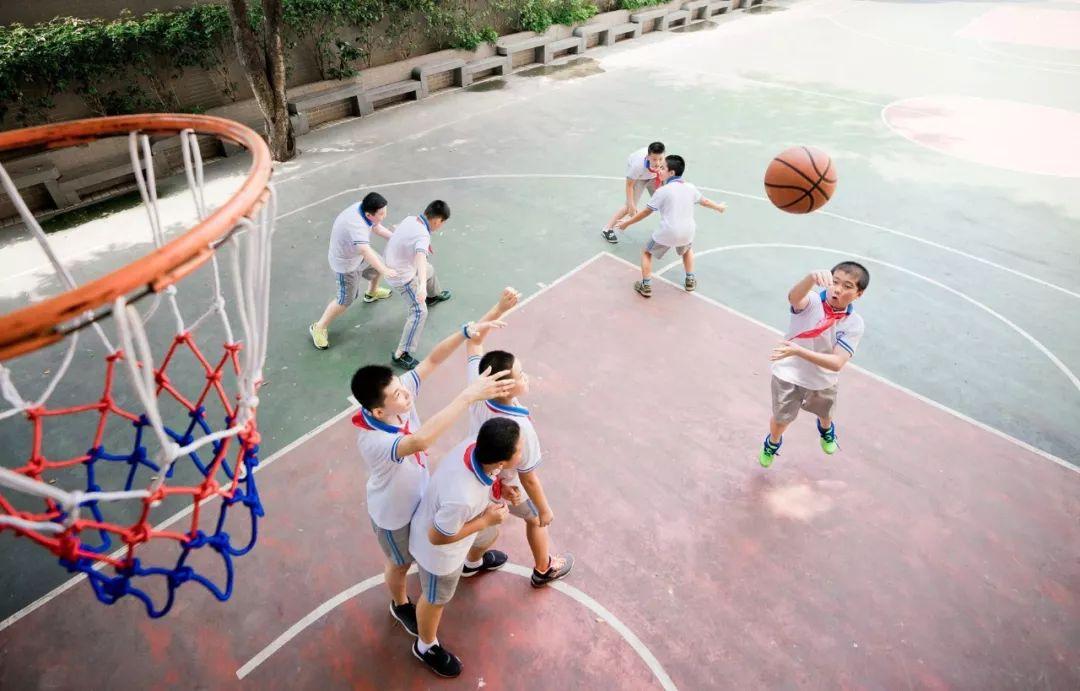 樂博體育下載最新版，小巷中的隱藏寶藏與獨特環境小店故事探索