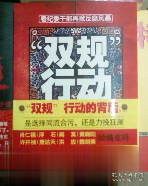 最新雙規步驟指南,從初學者到進階用戶的全面指南