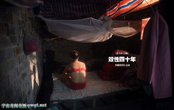 最新雙性探索，點燃生命之光，自信翱翔于未知學習之旅