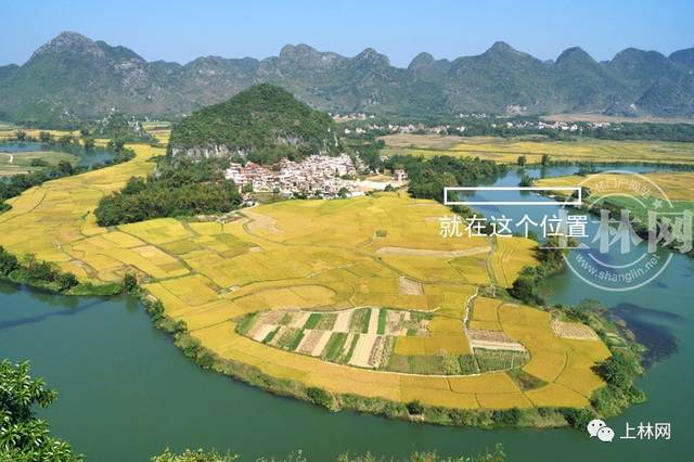 五A添盛坊青稞原漿 第213頁