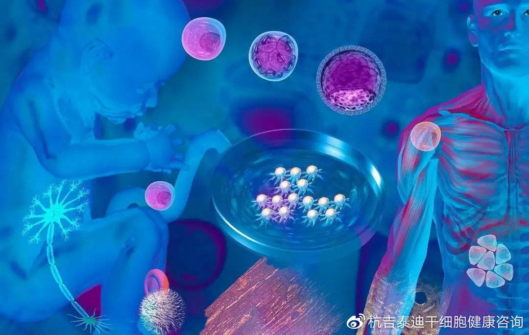 干細胞技術最新成果,引領醫學新時代的光輝篇章揭秘