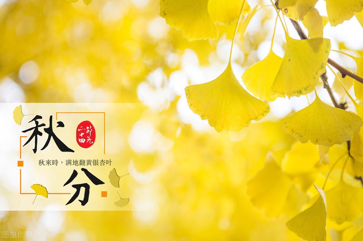 博暉創新最新動態，日常趣事與情感紐帶的交織