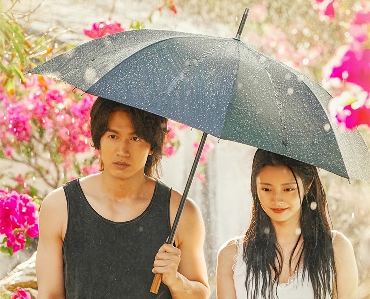 最新潮流電視連續劇,自然美景之旅與內心平和的探尋