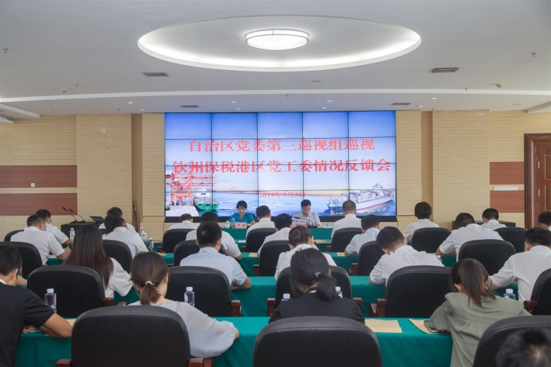 廣西巡視組深化監督推動基層全面從嚴治黨,最新巡視進展與動態