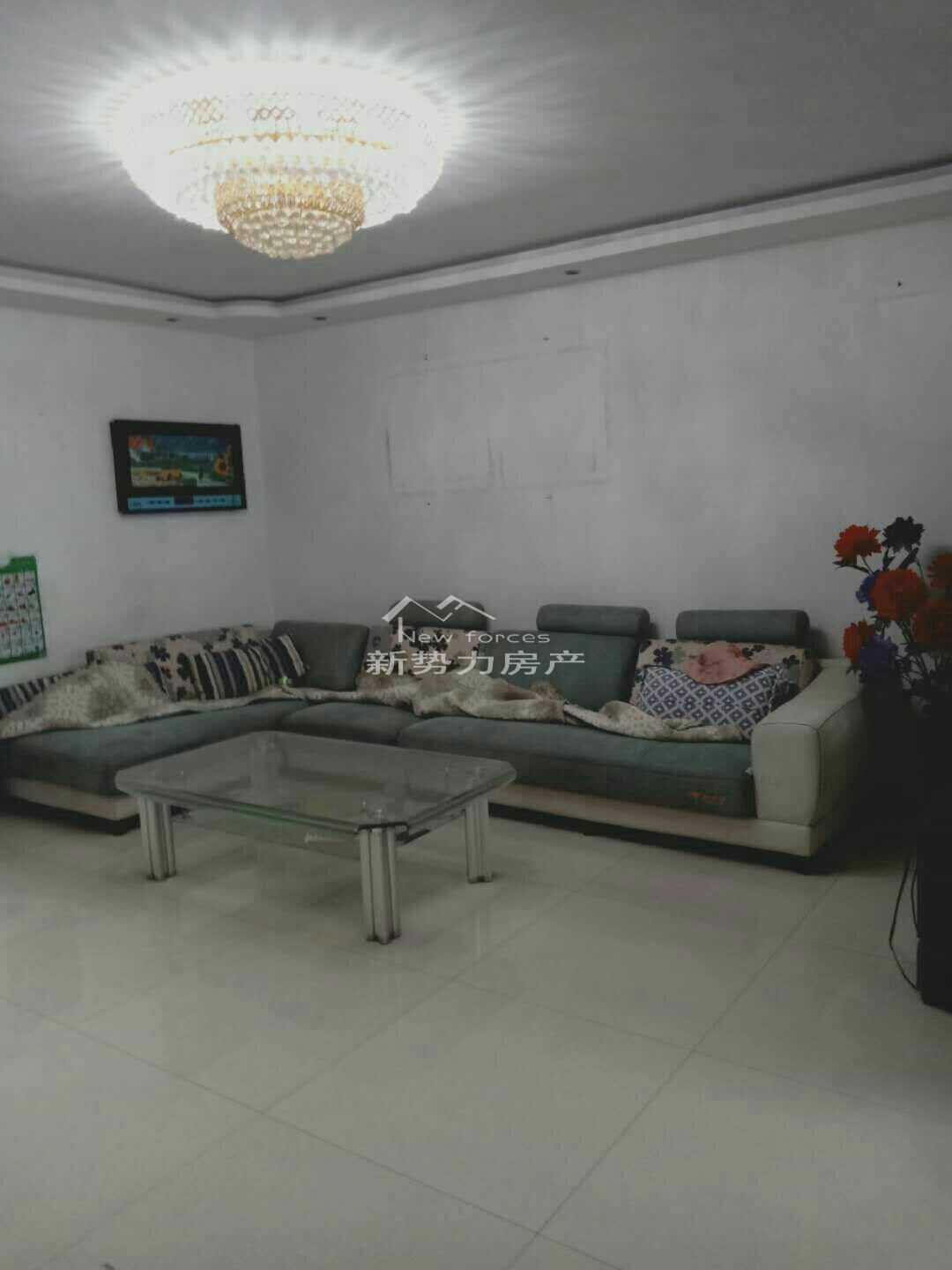 磁縣二手房市場最新動態(tài)，微觀鏡像下的市場變遷與地域發(fā)展觀察