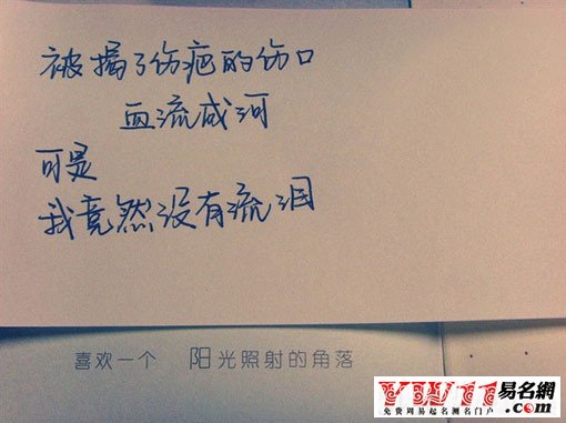 關于最新流行網名的深度解析與論述,引領潮流的網名命名趨勢