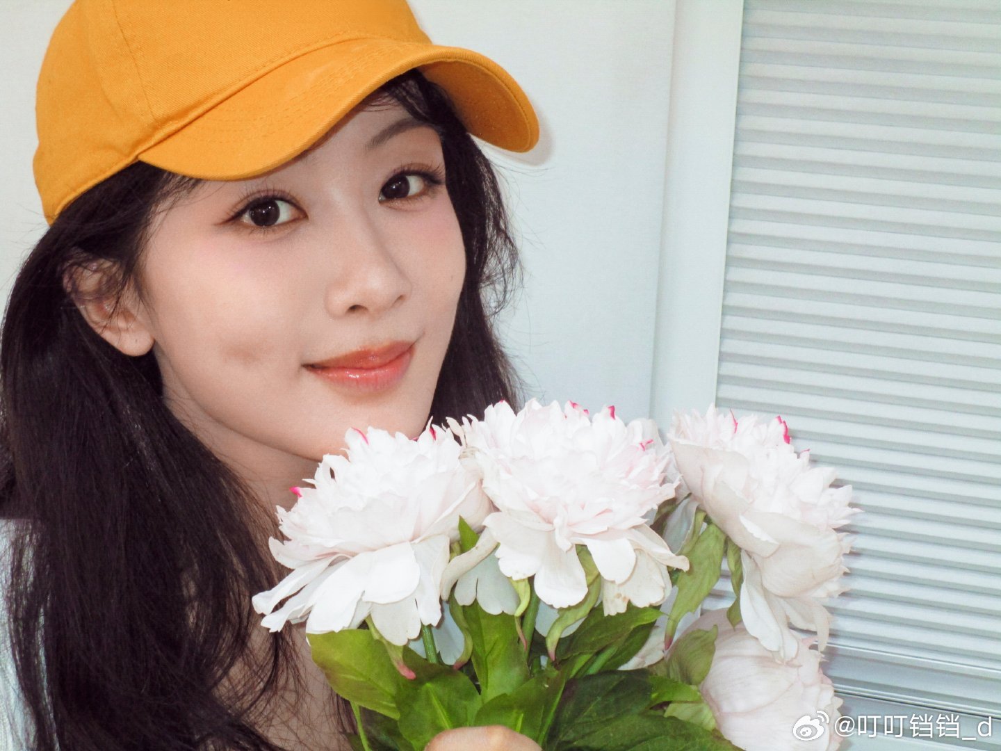 楊紫微博最新動態揭秘，言論與觀點的背后故事